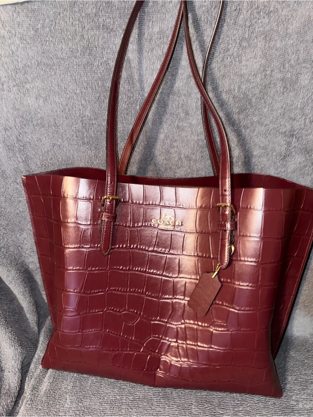 Coach Mollie Tote